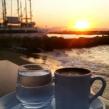 Coezel Sare Guzelcamlı