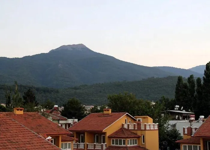 Hotel Coezel Sare 3*